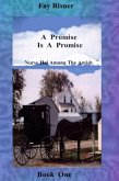 A Promise Is A Promise (Nurse Hal Among The Amish, #1) (eBook, ePUB) A Promise Is A Promise (Nurse Hal Among The Amish, #1) (eBook, ePUB)