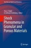 Shock Phenomena in Granular and Porous Materials (eBook, PDF)