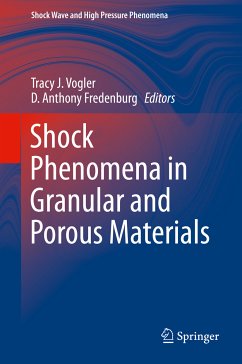 Shock Phenomena in Granular and Porous Materials (eBook, PDF)