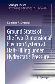 Ground States of the Two-Dimensional Electron System at Half-Filling under Hydrostatic Pressure (eBook, PDF)