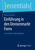 Einführung in den Devisenmarkt Forex (eBook, PDF)