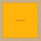 Leaving Meaning (2cd)