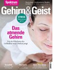 Gehirn&Geist 10/2019 -Das atmende Gehirn (eBook, PDF)