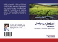 Challenges of Small and Medium Enterprise Lease Financing