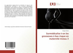 Surmédicalise t-on les grossesses à bas risque en maternité niveau 3 - Morlat, Margot