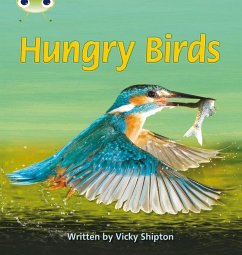 Bug Club Phonics - Phase 5 Unit 23: Hungry Birds - Shipton, Vicky