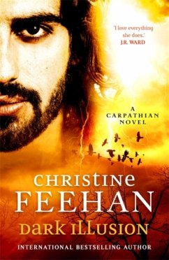 Dark Illusion - Feehan, Christine