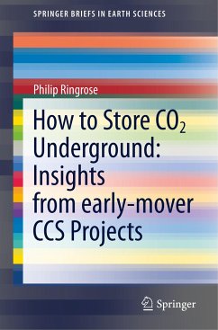 How to Store CO2 Underground: Insights from early-mover CCS Projects - Ringrose, Philip