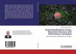 Entomopathogenic Fungi, Beauveria bassiana and Metarhizium anisopliae - Abdel-Raheem, Mohamed