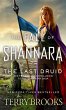 The Last Druid (eBook, ePUB) - Bild 1