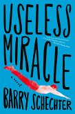 Useless Miracle (eBook, ePUB)