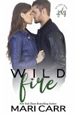 Wild Fire (Wilder Irish, #7) (eBook, ePUB)