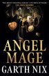 Angel Mage (eBook, ePUB) - Bild 1