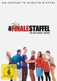 The Big Bang Theory - Staffel 12 (3 DVDs)