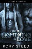 From Lightning to Love