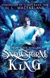 Snowstorm King - Bild 1