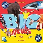 BIG and SMALL: A concept picture book for children
