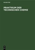 Praktikum der Technischen Chemie (eBook, PDF)
