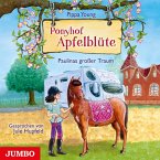Paulinas Grosser Traum / Ponyhof Apfelblüte Bd.14 (1 Audio-CD)