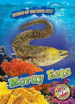 Moray Eels - Shaffer, Lindsay