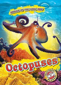 Octopuses - Shaffer, Lindsay