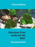 Eidechse Trixi entdeckt die Welt (eBook, ePUB)
