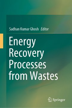 Energy Recovery Processes from Wastes (eBook, PDF)