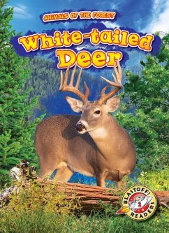Cover White-Tailed Deer
