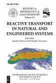 Reactive Transport in Natural and Engineered Systems