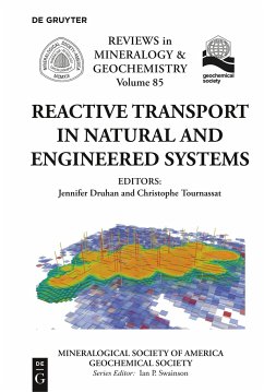 Reactive Transport in Natural and Engineered Systems