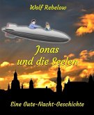 Jonas und die Seelen (eBook, ePUB)