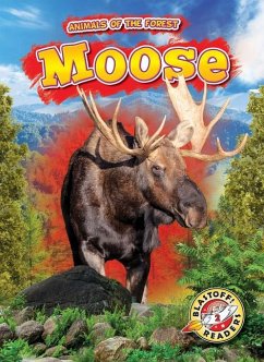 Moose - Albertson, Al