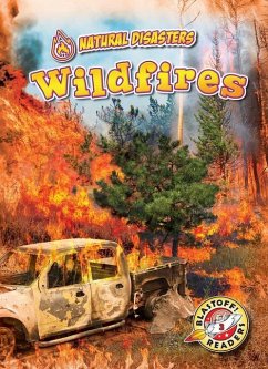 Wildfires - Pettiford, Rebecca