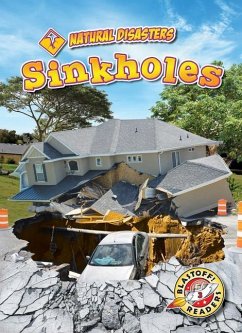 Sinkholes - Pettiford, Rebecca