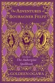 The Adventures of Bouragner Felpz, Volume III