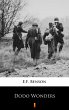 Dodo Wonders (eBook, ePUB) - Bild 1