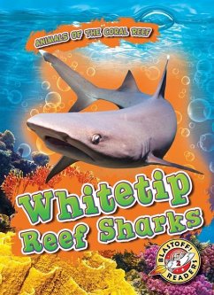 Whitetip Reef Sharks - Shaffer, Lindsay