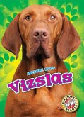 Vizslas