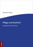 Pflege und Strafrecht (eBook, PDF)