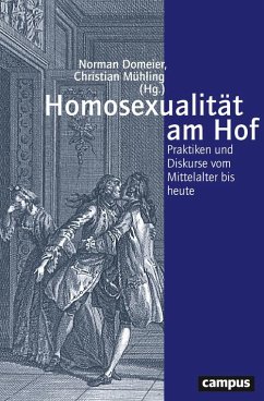 Homosexualität am Hof (eBook, PDF)