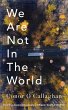 We Are Not in the World (eBook, ePUB) - Bild 1