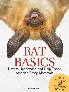 Bat Basics (eBook, ePUB) - Krebbs, Karen