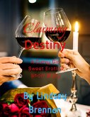 Claiming Destiny (eBook, ePUB)