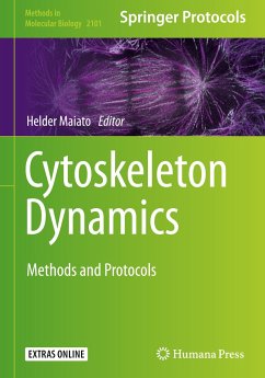 Cytoskeleton Dynamics