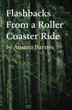 Flashbacks From a Roller Coaster Ride (eBook, ePUB) - Barnes, Austen