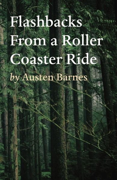 Flashbacks From a Roller Coaster Ride (eBook, ePUB)