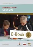 Abenteuer Lernen: Silvester (eBook, PDF)
