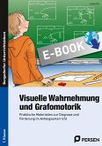 Visuelle Wahrnehmung und Grafomotorik (eBook, PDF)