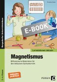 Magnetismus (eBook, PDF)