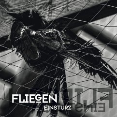 Fliegen - Einsturz